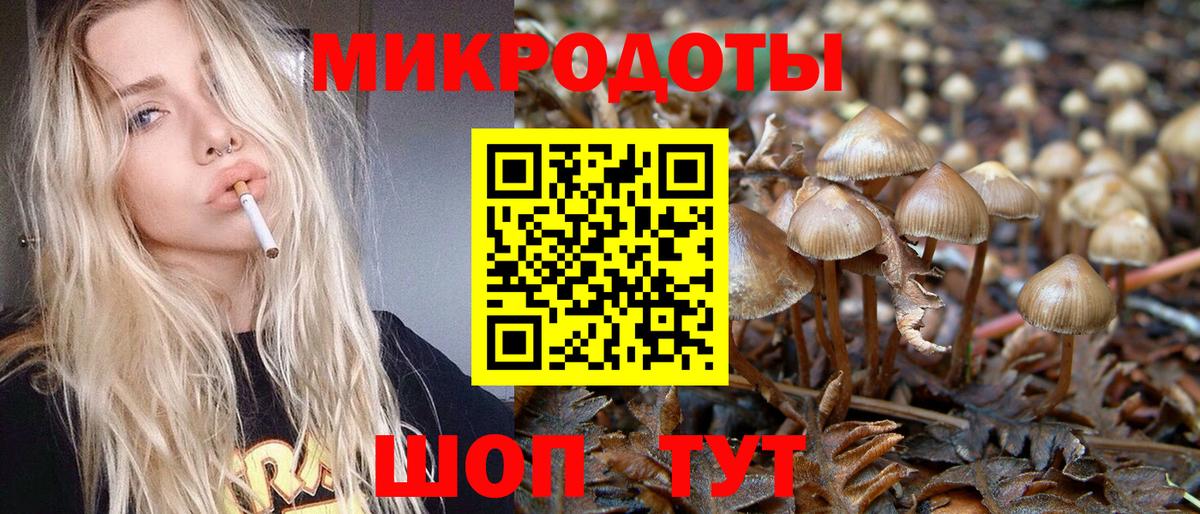 Псилоцибиновые грибы мухоморы Горячий Ключ